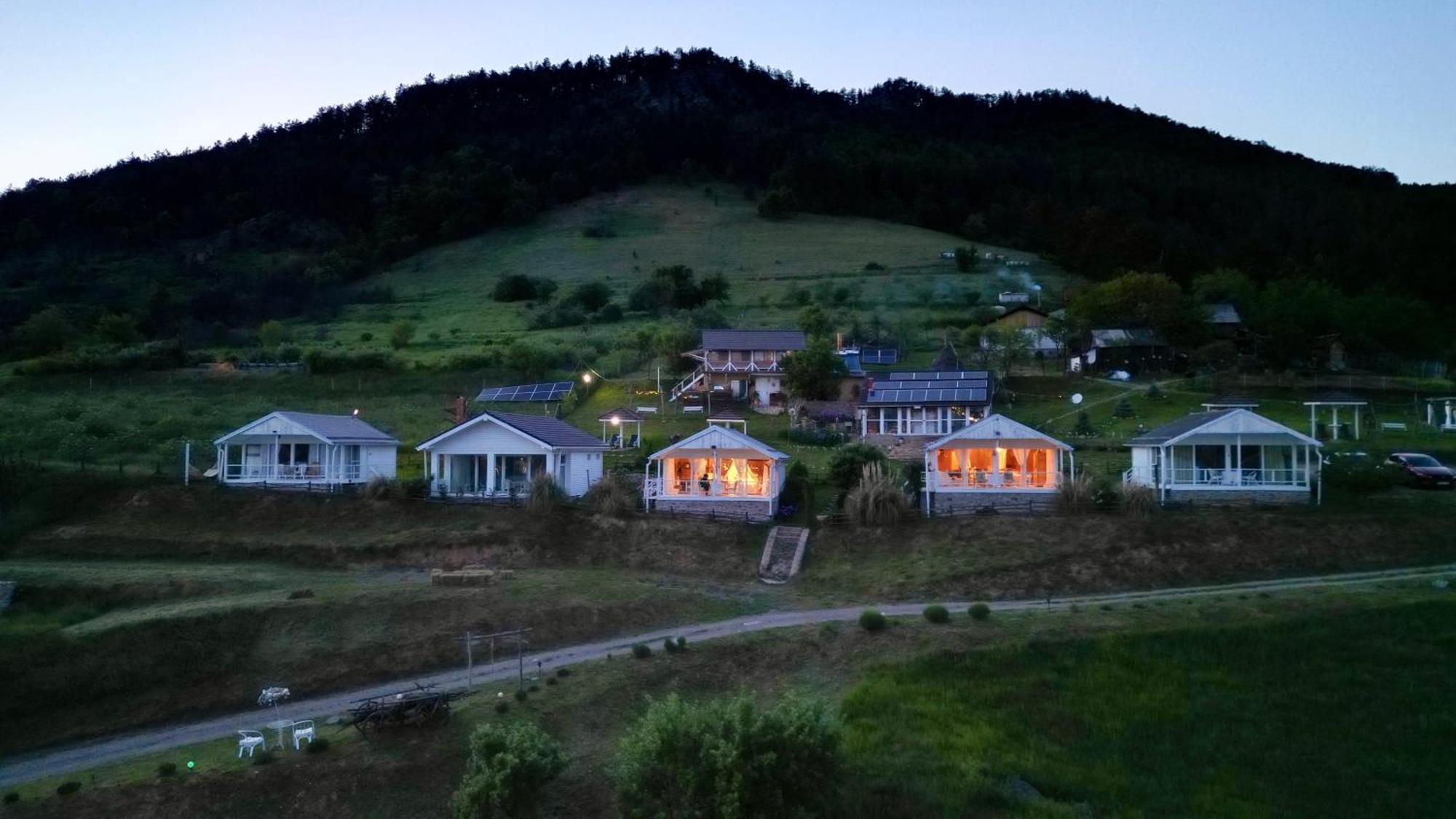 Villa Dream Tricule Svinita Exterior foto